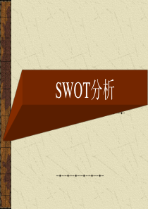 SWOT分析实例