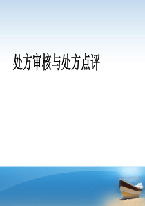 处方审核处方点评