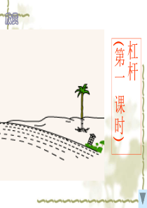 华师大九年级科学上册杠杆