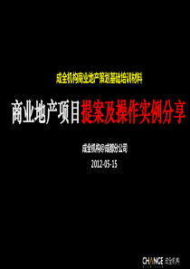 成全商业地产项目提案及操作实例分享-精品