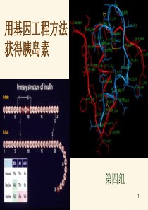基因工程制胰岛素(生工版)