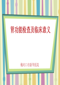 肾功能检查及临床意义-2015版