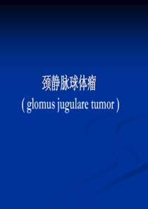 颈静脉球体瘤