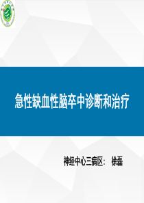 急性脑梗塞的诊断与治疗