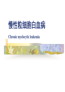 血液疾病课件：慢性粒细胞白血病