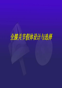 膝关节假体选择-眭述平