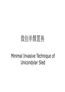 膝关节单髁置换