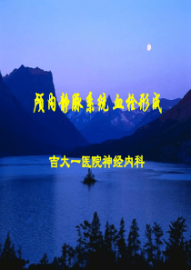 颅内静脉系统血栓形成
