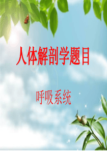 人体解剖学-呼吸系统