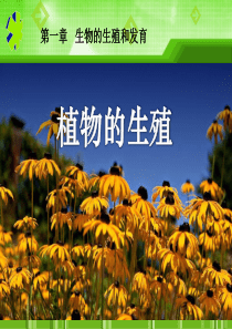 初二生物   植物的生殖