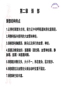 临床医学五年制局部解剖学课件颈部PPT二