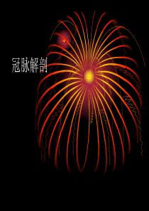 冠脉解剖