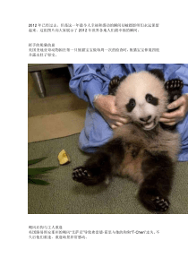 全球最幸福的定格瞬间