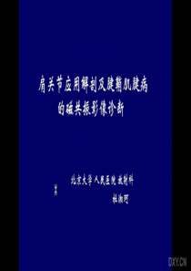 肩关节应用解剖及腱鞘肌腱病的磁共振影像诊断-杜湘珂