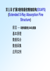 X射线吸收精细结构..