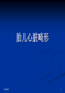 胎儿心脏畸形