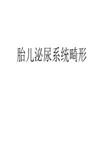 胎儿泌尿系统