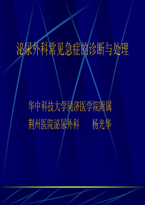 泌尿外科常见急症的诊断与处理