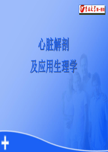 心脏解剖及生理
