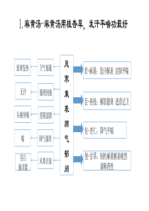 中医方剂思维导图(精品教学)
