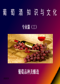 4葡萄酒基本知识(品种及酿造)