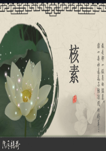 核素