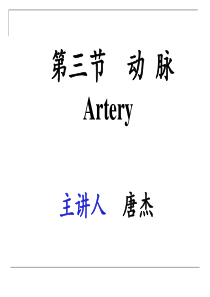 动脉1