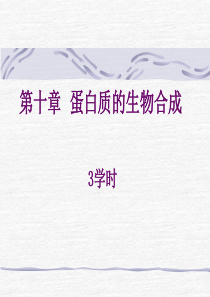 第十章蛋白质的生物合成44