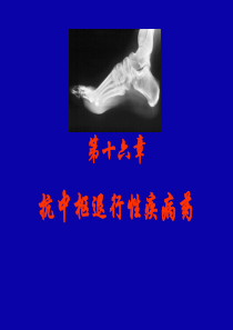 第十七章  抗中枢退行性疾病药