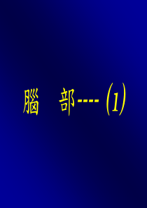 脑部的正常CT及MRI解剖