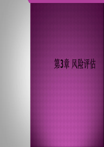 风险评估