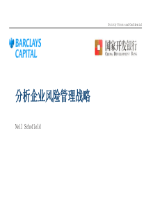 分析企业风险管理战略-中文