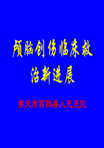 颅脑创伤临床救治指南(全)