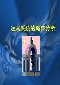 泌尿系超声诊断