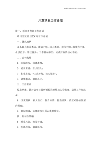 开发项目工作计划