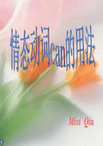 情态动词CAN的用法模板