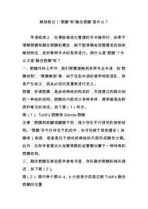 解剖笔记︱“筋膜”和“融合筋膜”是什么？