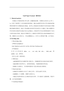 仁爱版英语九年级下册Unit-5-Topic-3《Now-it-is-a-symbol-of-Eng