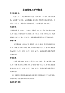 薪资待遇及晋升标准