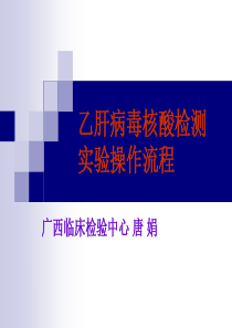 乙肝病毒核酸检测实验操作流程