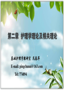 第二章--第五节-自护理论、纽曼模式