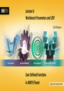 Fluent-UDF-16.0-L06-Workbench