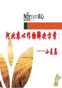 小麦