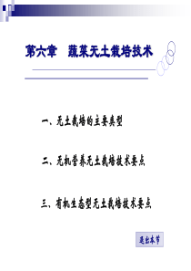 蔬菜无土栽培技术模板