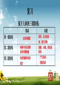 新人教版八年级生物下册用药与急救ppt课件