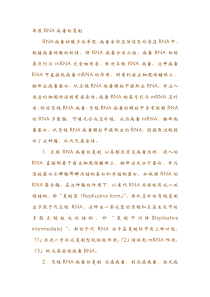 单股RNA病毒的复制
