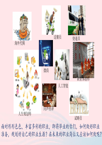第三单元第六课第2框多彩的职业课件4新人教版