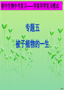 中考生物专题复习：被子植物的一生