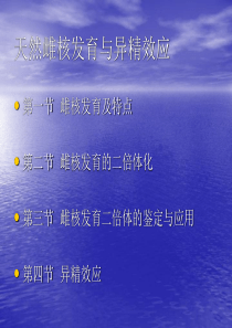 天然雌核发育与异精效应   课件