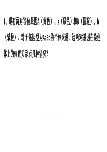 两对基因位置关系的探寻